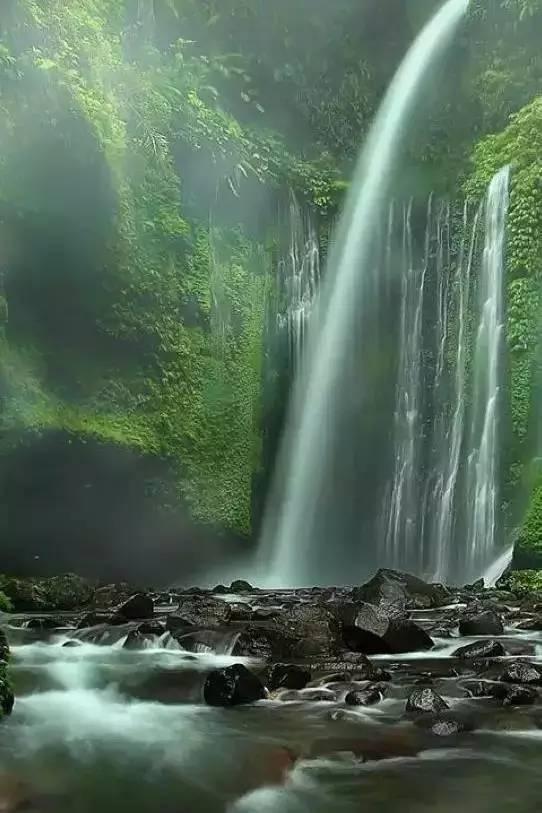 精灵嘉年华