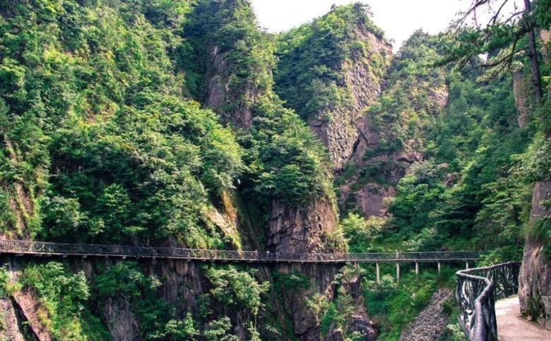 “一带一路·东盟大湾区杯”国际青少年足球赛开赛