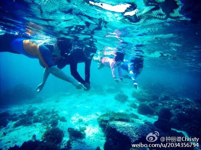 不限专业!七星关招4人!