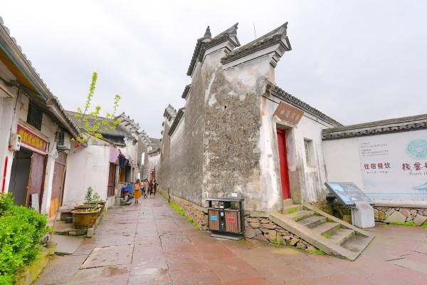 生化危机：浣熊市行动